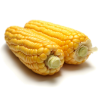 Corn On The Cob [24 X 397g]